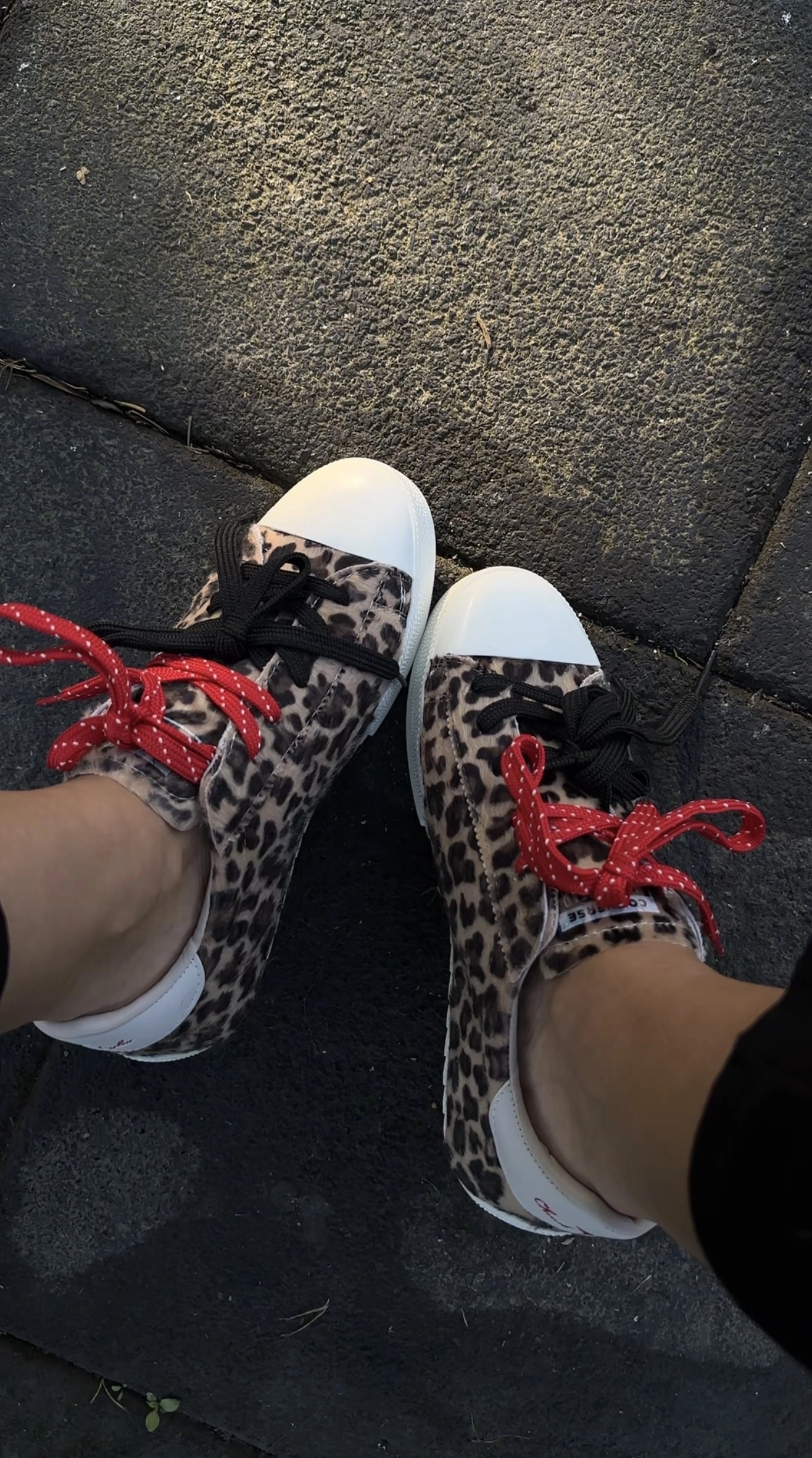 Leopar Convers.e Spor Ayakkabı